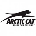 ARCTIC CAT 550